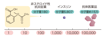 分子量(大きさ)のイメージ